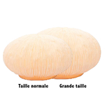 lampe-imitation-corail-tropical