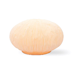 lampe-imitation-corail-balen