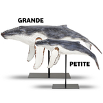 deco-baleine-qui-nage
