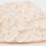 lampe-faux-corail