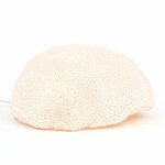 lampe-decoration-marine-corail