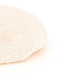 lampe-marine-deco-corail-resine