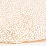 lampe-resine-imitation-corail