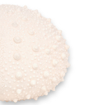 lampe-resine-oursin