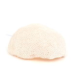 lampe-patate-corail
