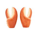 saliere-poivrier-pince-de-crabe