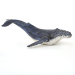 baleine-deco-moderne-2026