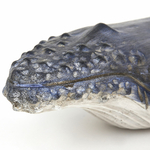 deco-baleine-2026