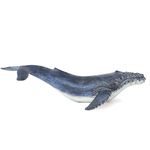 decoration-baleine-a-bosse-2026