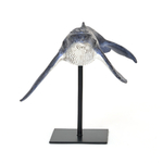 decoration-marine2026