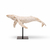baleine-blanche-deco