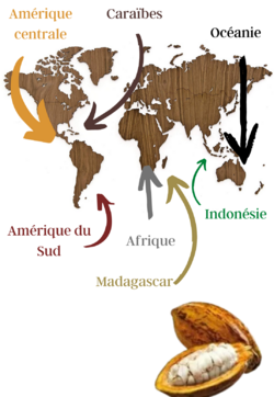 Savez-vous d'où proviennent nos fèves de cacao  (3)