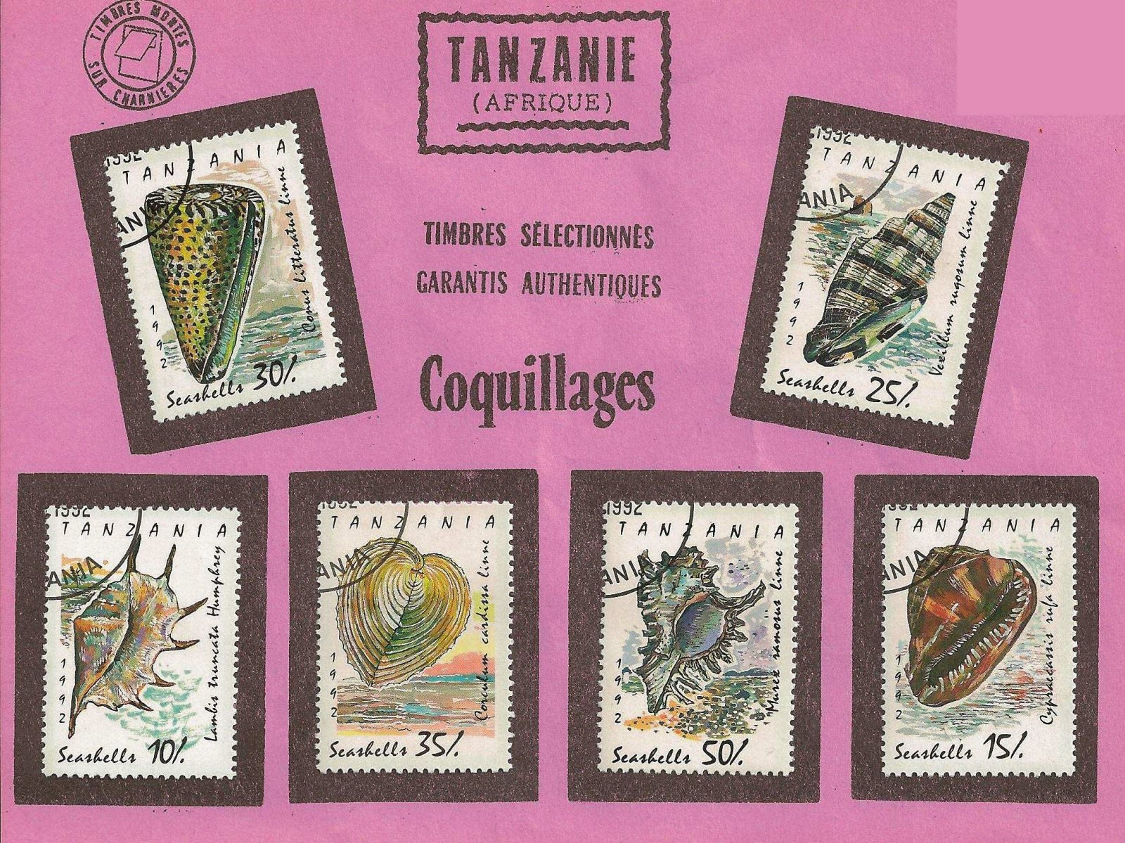 COQUILLAGES TANZANIE