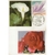 floralies nantes 1967 arum et rose