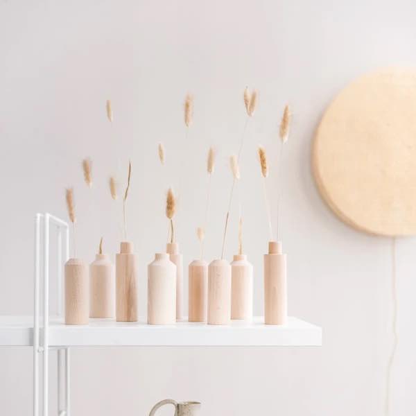 ANSO-Vasessoliflores-2