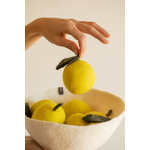 citron-2