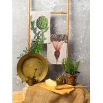 6001M-BA-Linoroom-Kitchen-towels-artichoke-and-beetroot-WEB-LR2