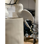 IMG_5258