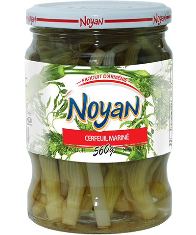 NOY52