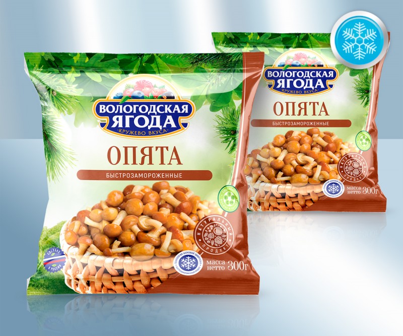 3537_Opjata