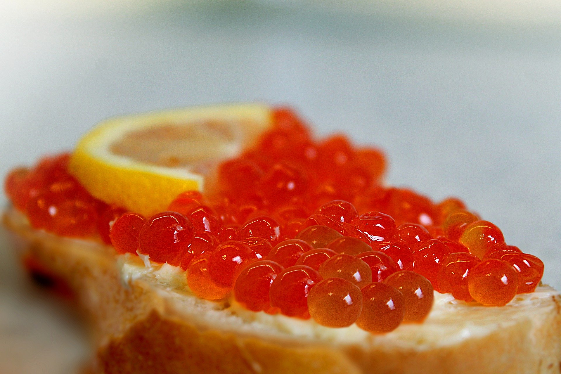 red caviar 4633435 1920