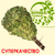 a0d56c0bc0ebe2cd4f540ba500ad5ea6-f