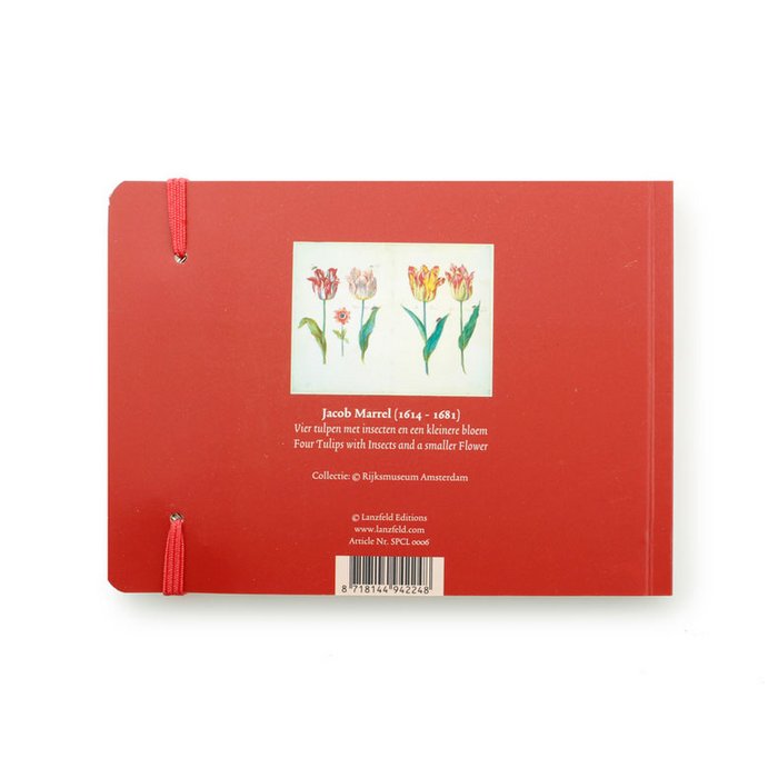 Carnet de croquis, quatre tulipes