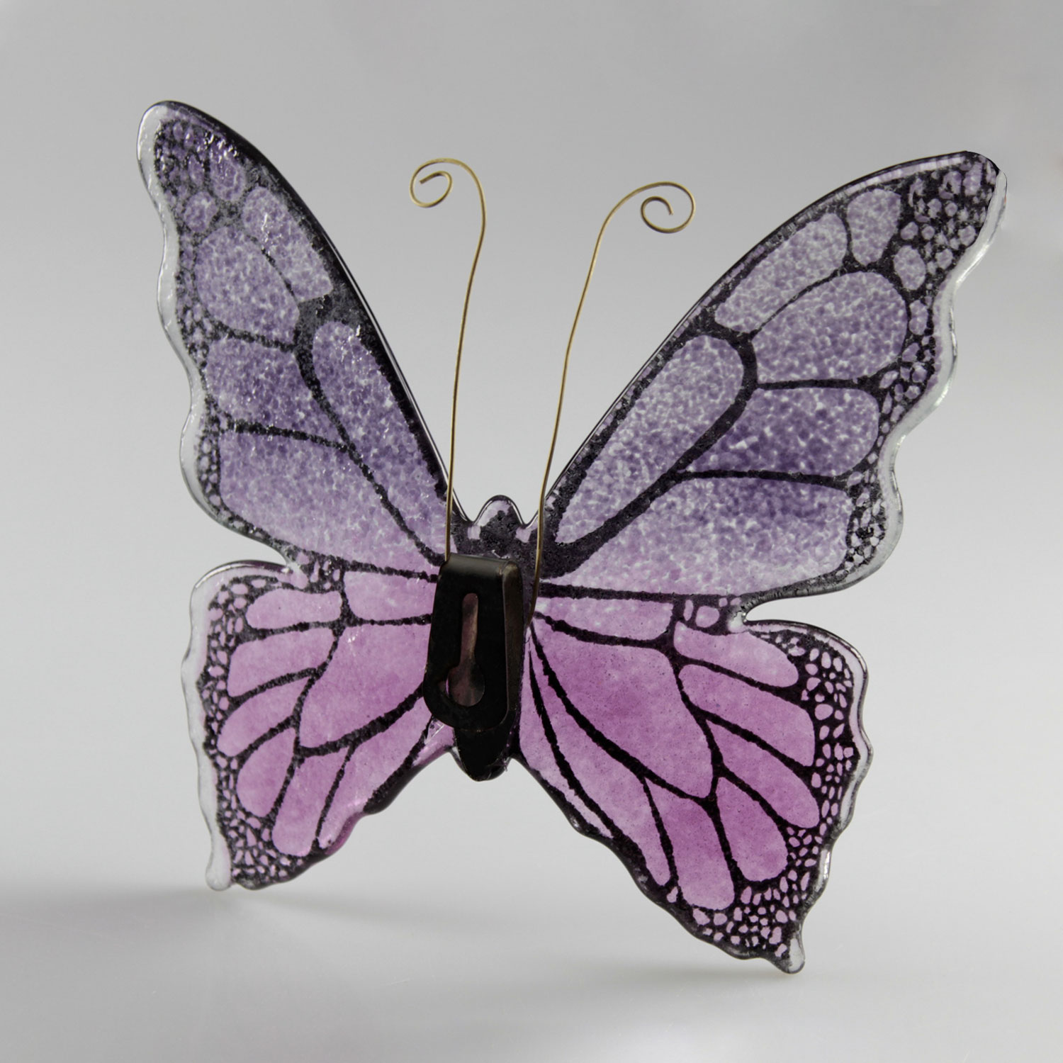 Papillon_bicolore_violet_rose_arrière