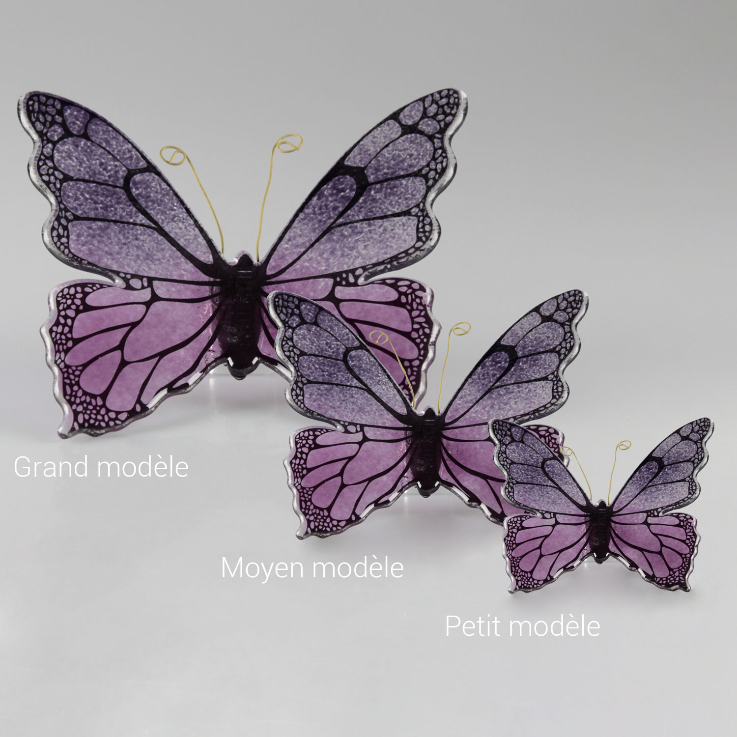Papillon_bicolore_violet_rose_3_ins