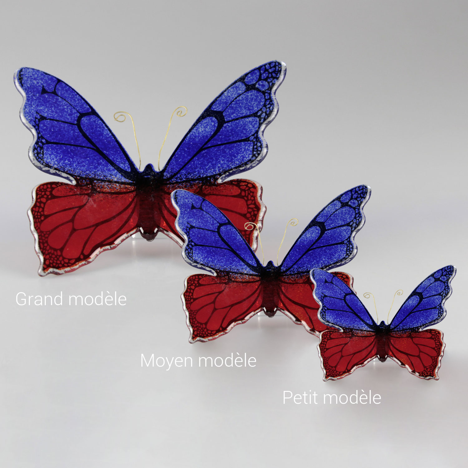 Papillon_bicolore_rouge_bleu_3_ins