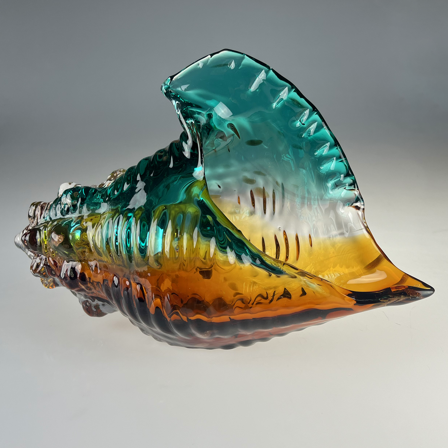 grand_coquillage_vase_face