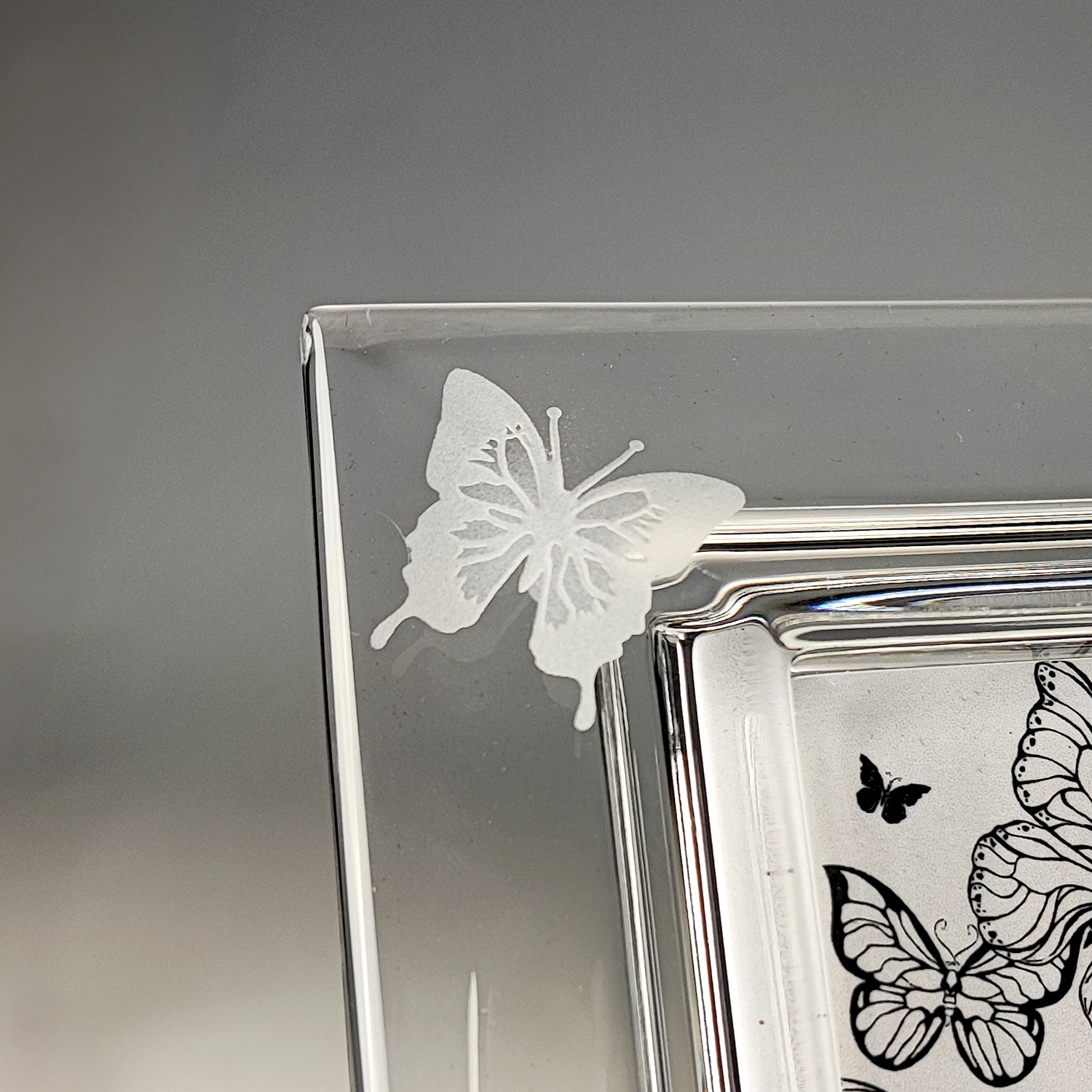 cadre_papillon_zoom