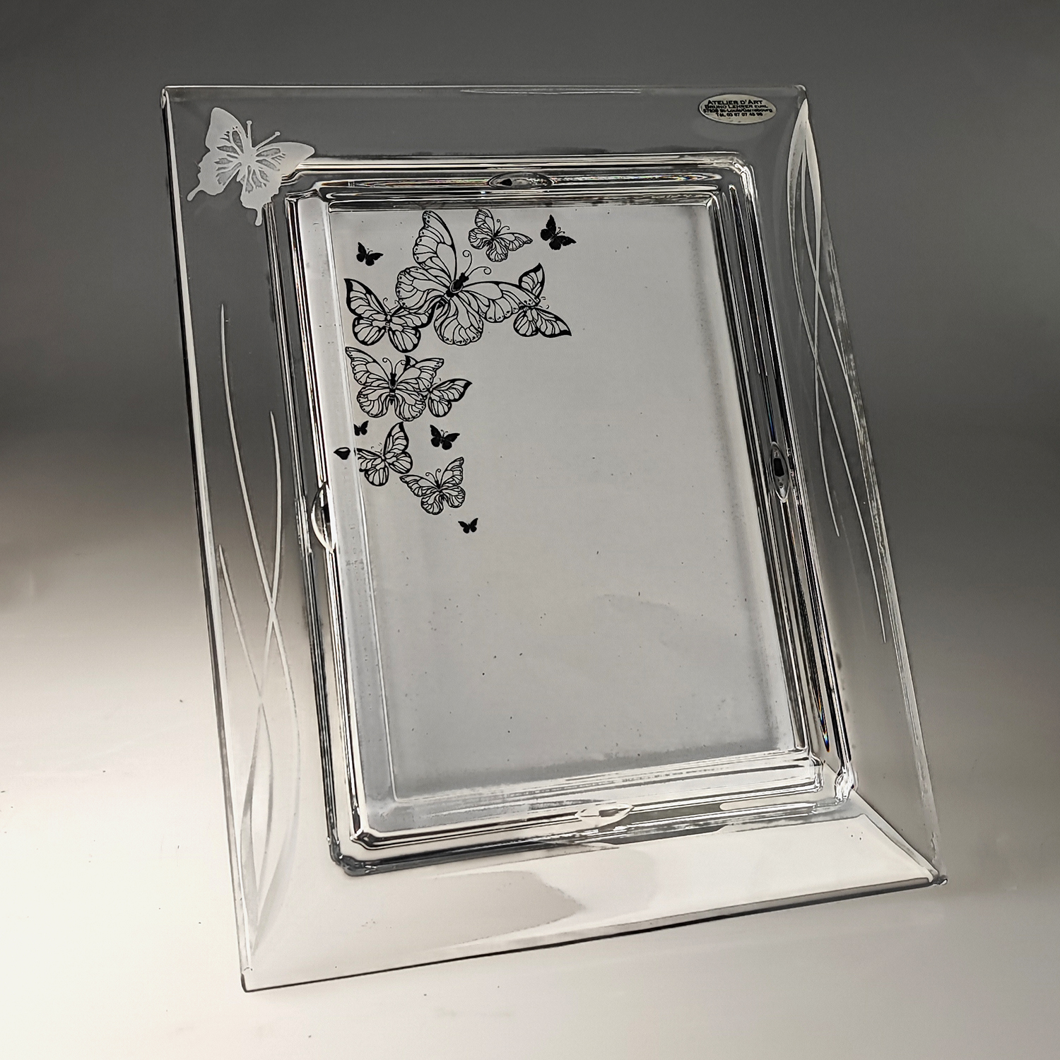 cadre_papillon