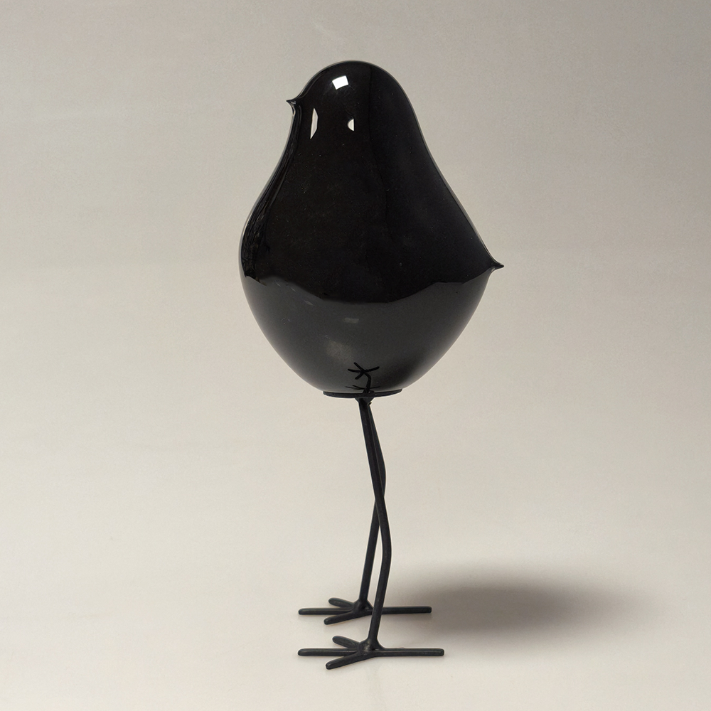 oiseau_sur_pied_noir_2