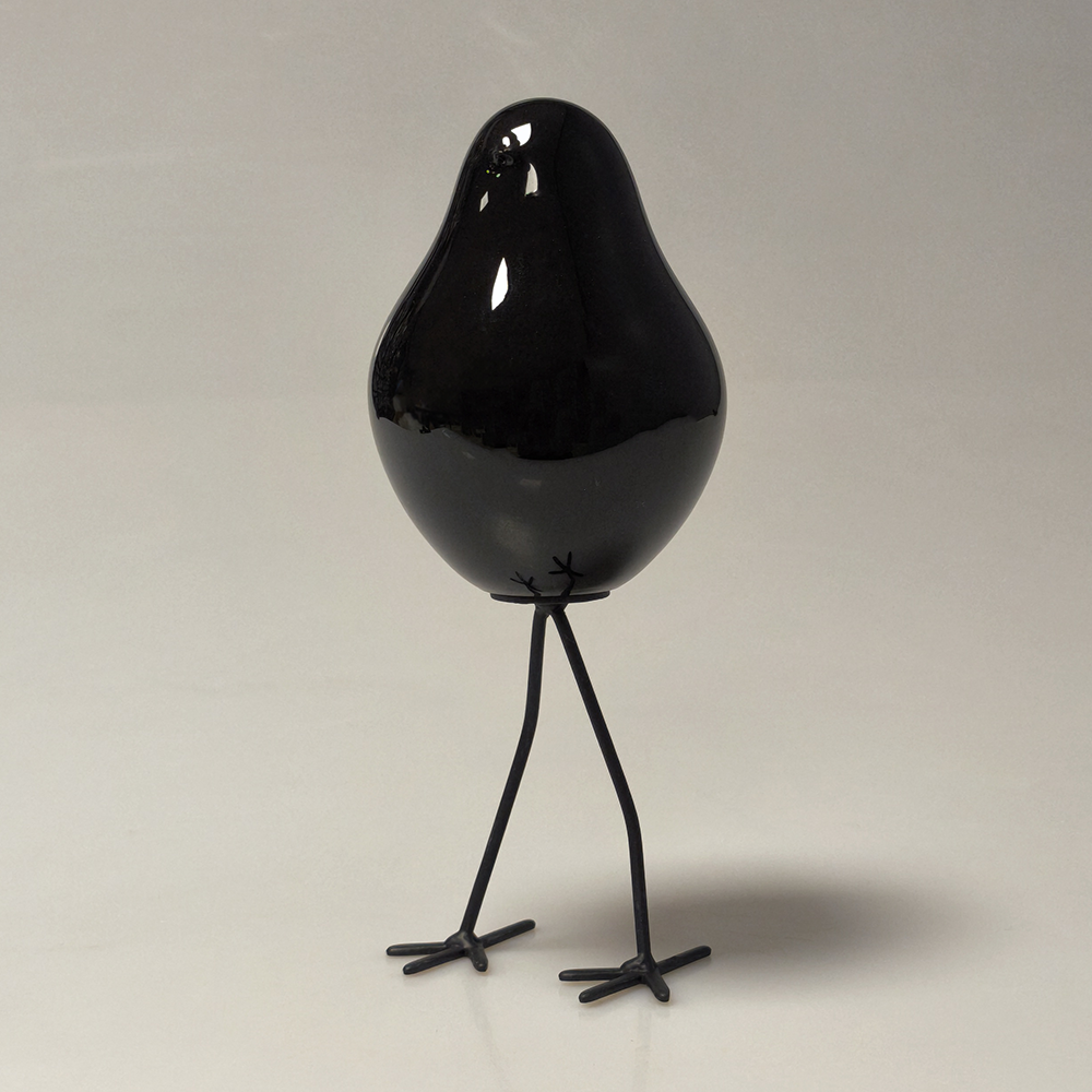 oiseau_sur_pied_noir_1