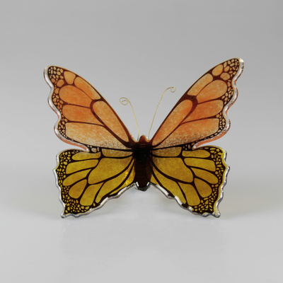 Papillon_bicolore_orange_jaune_avant