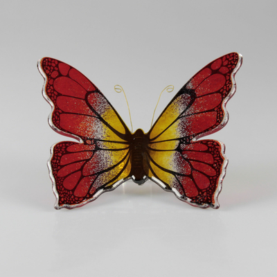 Papillon_bicolore_rouge_orange_avant