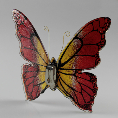 Papillon_bicolore_rouge_orange_arrière
