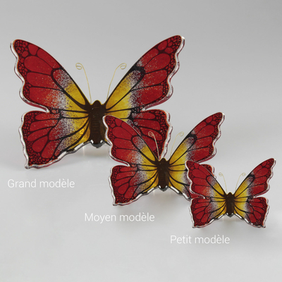 Papillon bicolore rouge et orange