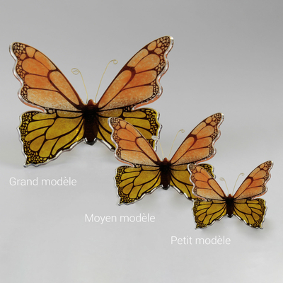 Papillon bicolore, orange et jaune