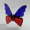 Papillon_bicolore_rouge_bleu_arrière