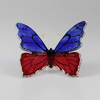 Papillon_bicolore_rouge_bleu_avant
