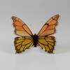 Papillon_bicolore_orange_jaune_avant