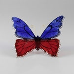 Papillon_bicolore_rouge_bleu_avant