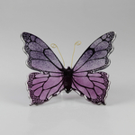 Papillon_bicolore_violet_rose_avant