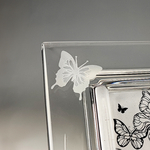 cadre_papillon_zoom
