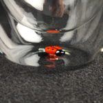 double_paroi_coccinelle_2