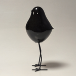 oiseau_sur_pied_noir_2