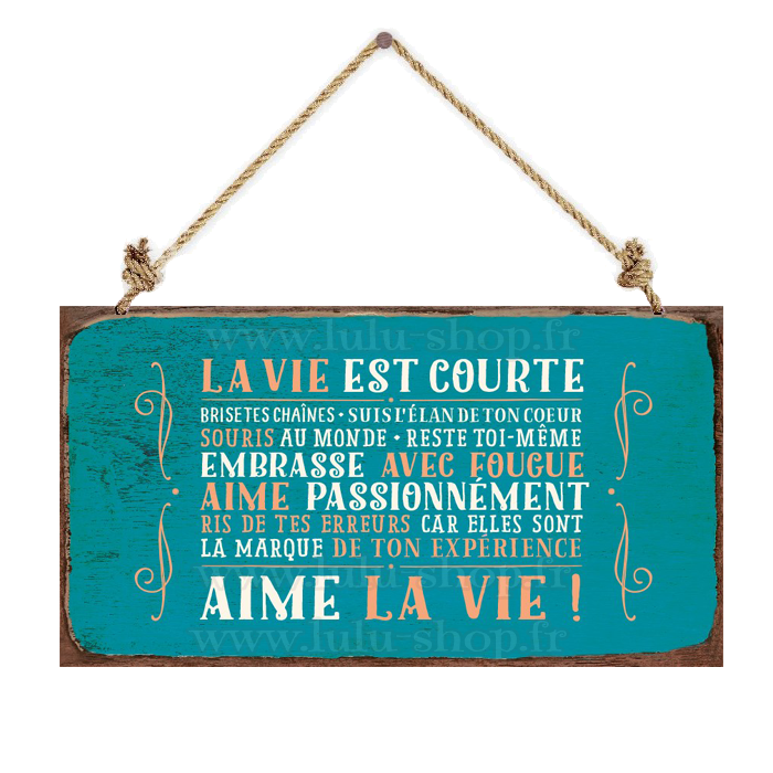 www.lulu-shop.fr décoration plaque vintage