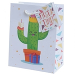 Sac Cadeau Cactus - Petit Lulu Shop 2